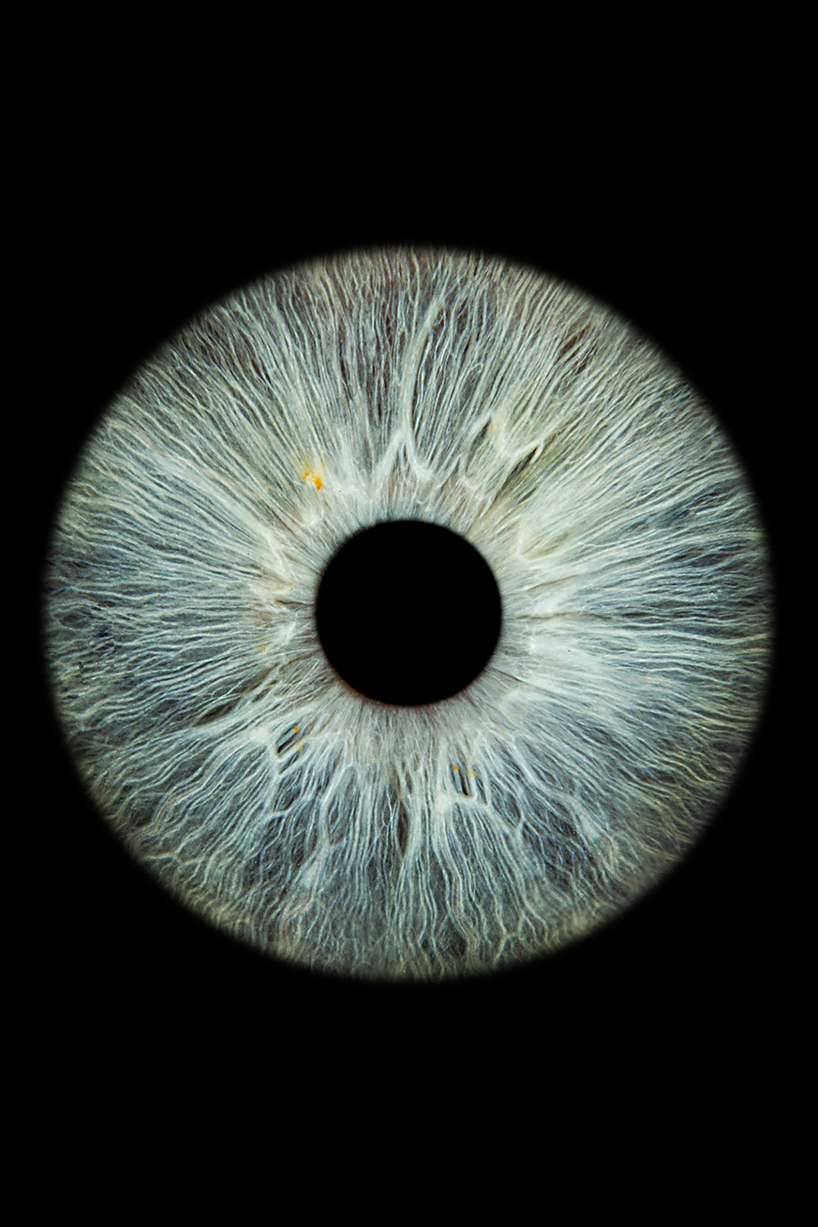anastasiya-badun-4dl04G8QKE0-unsplash-min